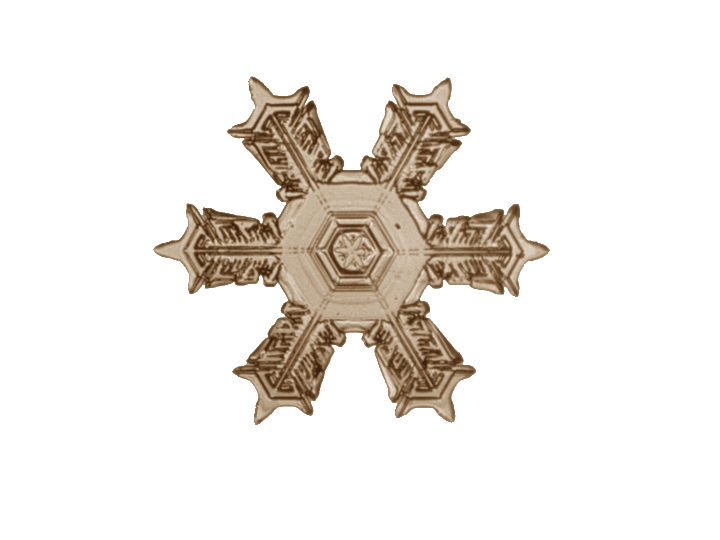 snowflake crystal